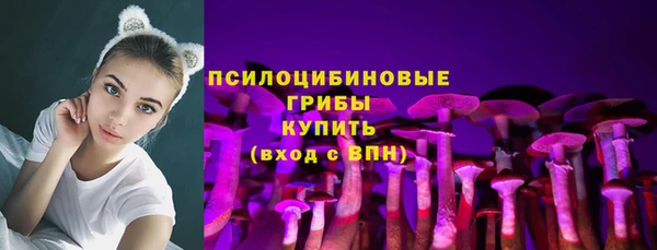 мдма Каменногорск