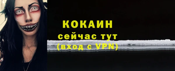 амф Инсар