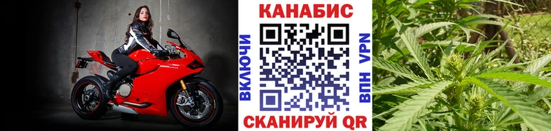 Конопля семена МЕГА ссылки маркетплейс официальный сайт Короча